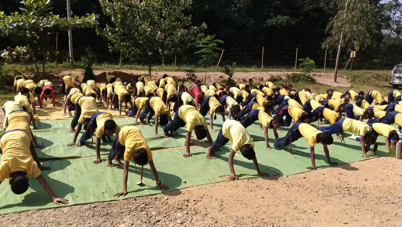 Yoga Day